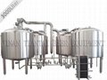 3000L beer fermenting equipment for sale
