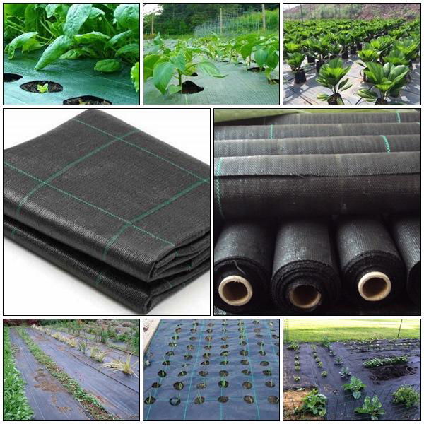 HDPE PP Woven Plastic Agricultural Ground Cover 2