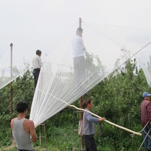 HDPE White Color Hail Protection Net 4