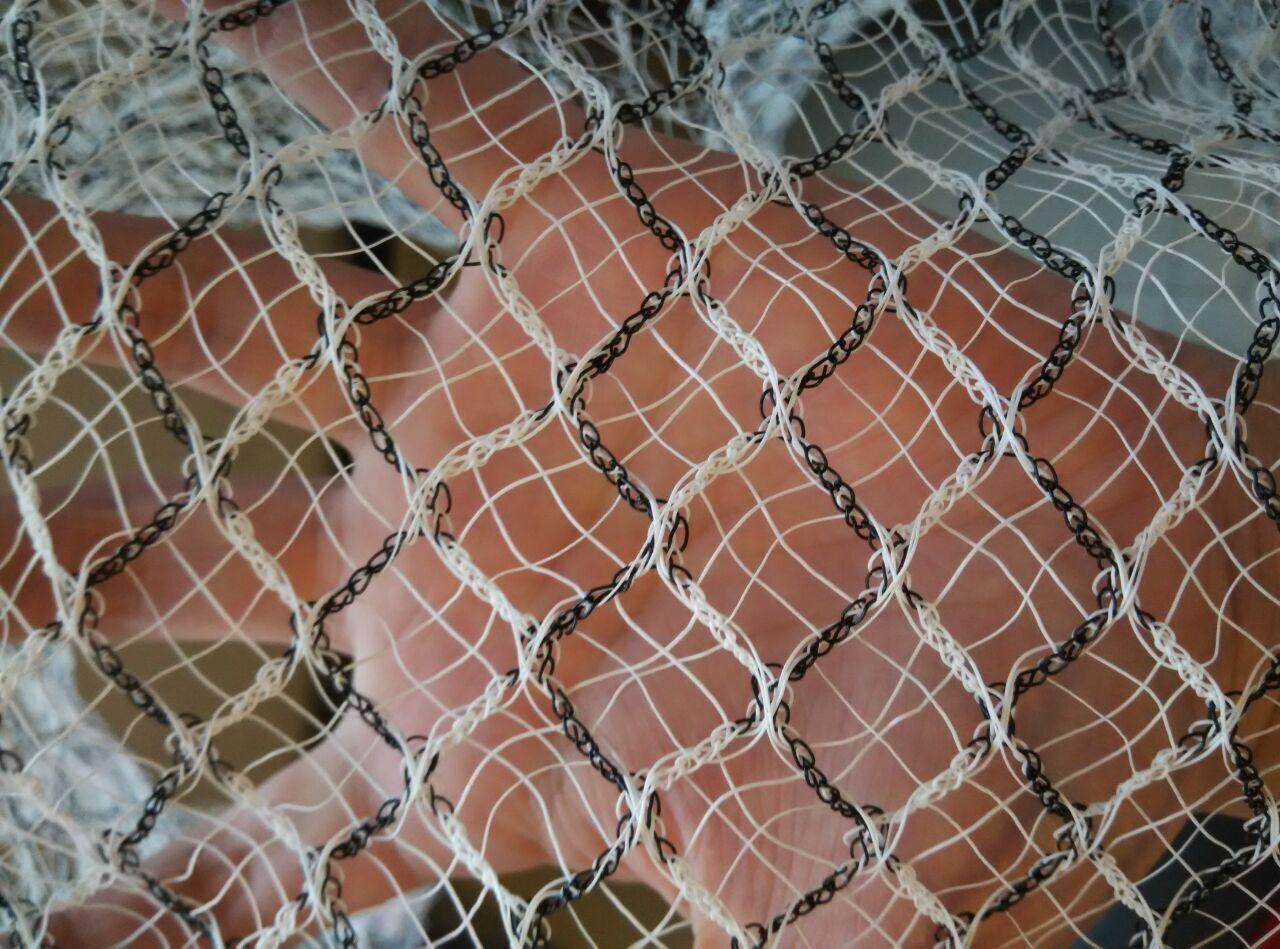 Virgin HDPE White or Black Color Anti Bird Protection Net 5