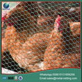 chicken wire mesh hexagonal wire netting 5