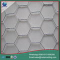 chicken wire mesh hexagonal wire netting 4