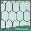 chicken wire mesh hexagonal wire netting 2