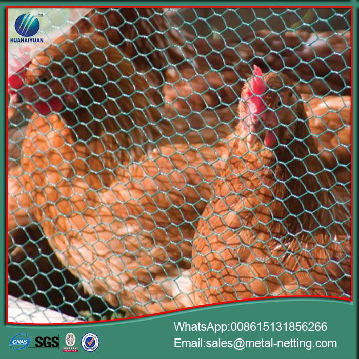 hexagonal wire mesh galvanized chick wire 4