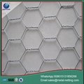 hexagonal wire mesh galvanized chick wire 3