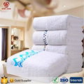 China Factory Provide 100% Cotton Hotel White bath Towel for 5 Star Hotel with F 2