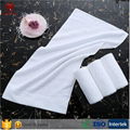 China Factory Direct Sell 100% Cotton Bath Towel and Face Towel for 5 Star Hotel 2