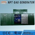 10-1000kW gas generator