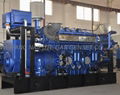 10-1000kW gas generator 4