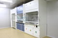 SGS Certified High Quality Steel Fume Hood