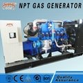 100kW biogas generator 1