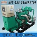 50kW biogas generator