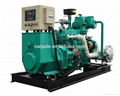 50kW Deutz engine CHP biomass generator