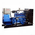 80kW CHP Biogas Generator Set