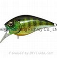 Megabass FX Knuckle 60 Crankbait 