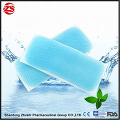 FDA Health Care Product Medical Cooling