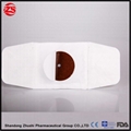 Winter Protective Adhesive Patch for