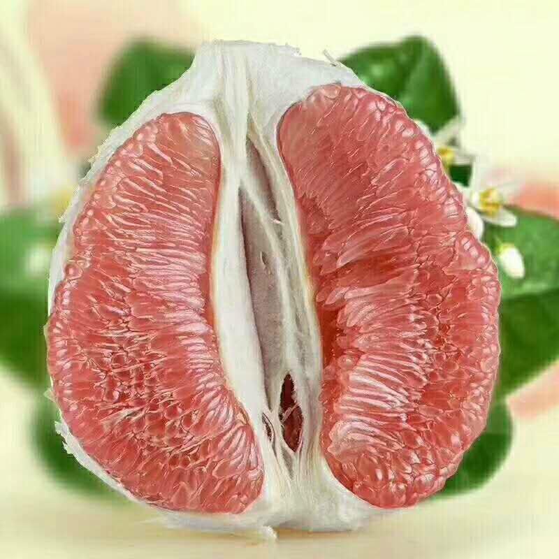 沙田柚原产地农家自产香甜的红肉柚子