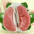 沙田柚原產地農家自產香甜的紅肉柚子 1