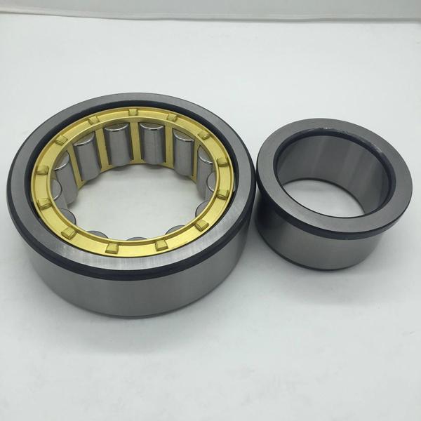 Single Row Cylindrical Roller Bearing NU2338M