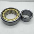 Single Row Cylindrical Roller Bearing