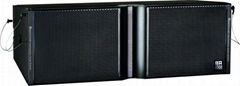 Badoo Sound LS-310 dual 10inch 3way line array speakers