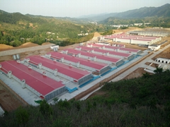 Shanyang DQY Agricultural Technology Co.,Ltd.