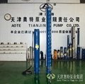 6 inch cast grey iron submersible borehole Pump 4