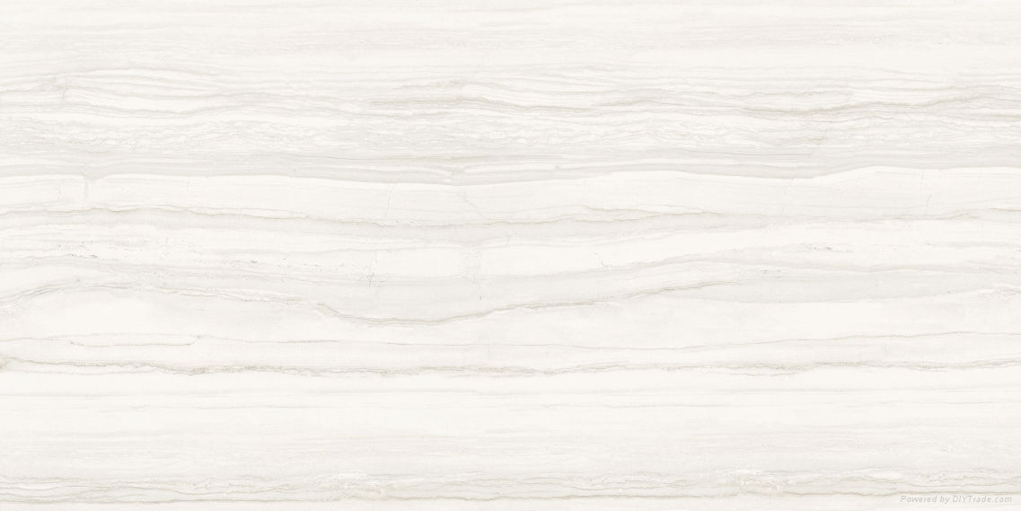 big size porcelain tile 005 romeland (China Manufacturer) Other