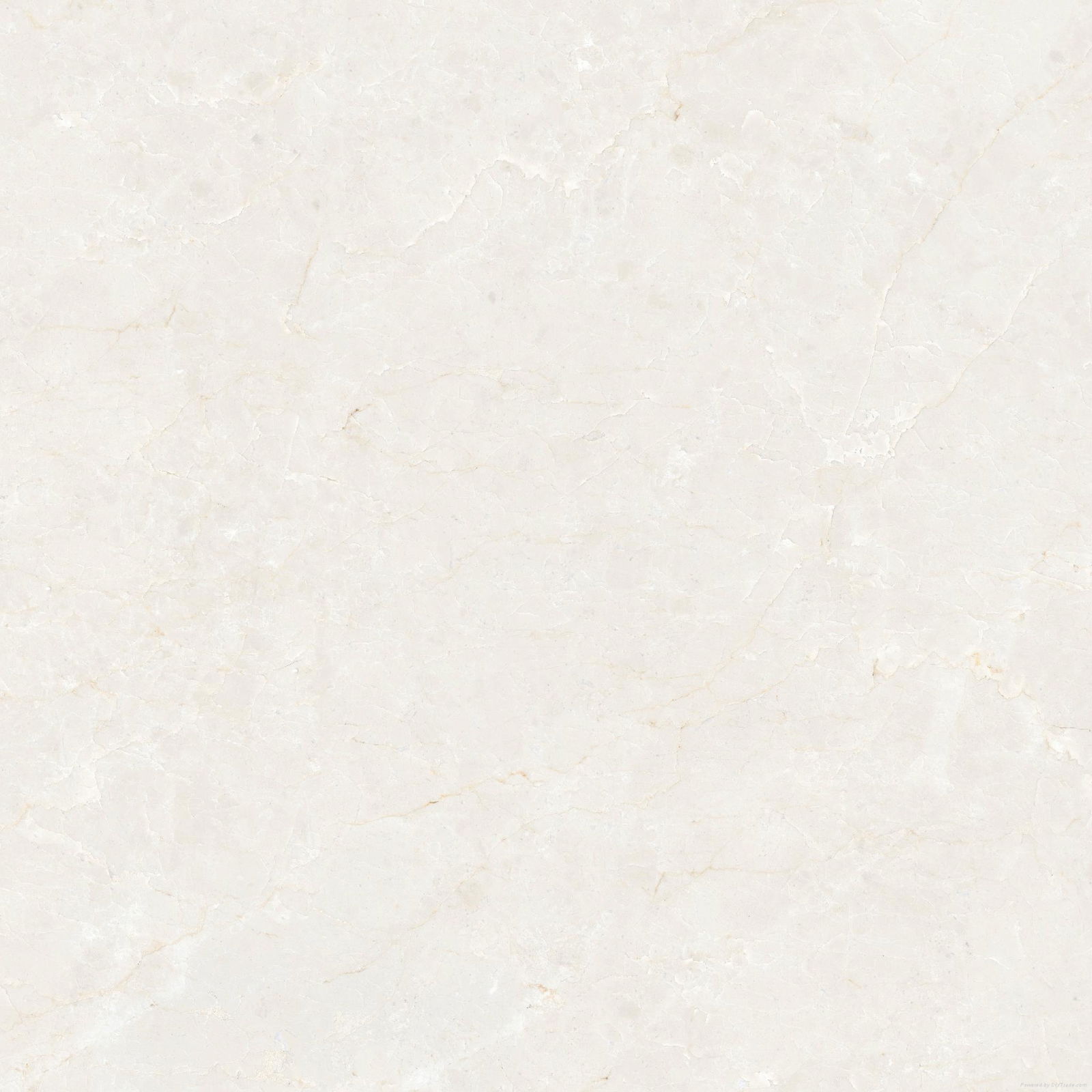 marble polished tile