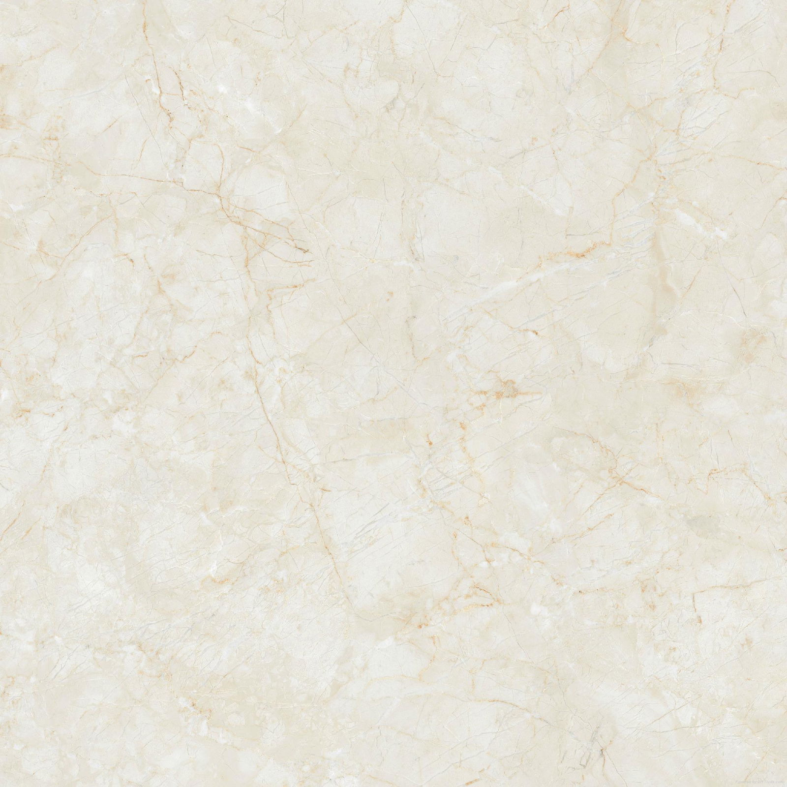 marble polished tile 3