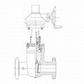 Flanged Pressure Seal Gate Valve 1