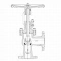 Cast Steel Angle Globe Valve 1