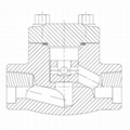 Forged Steel Check Valve (SW/Threaded End)