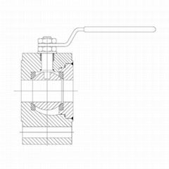 Forged Steel Wafer Ball Valve