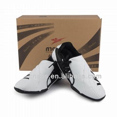 taekwondo training shoes in martial arts