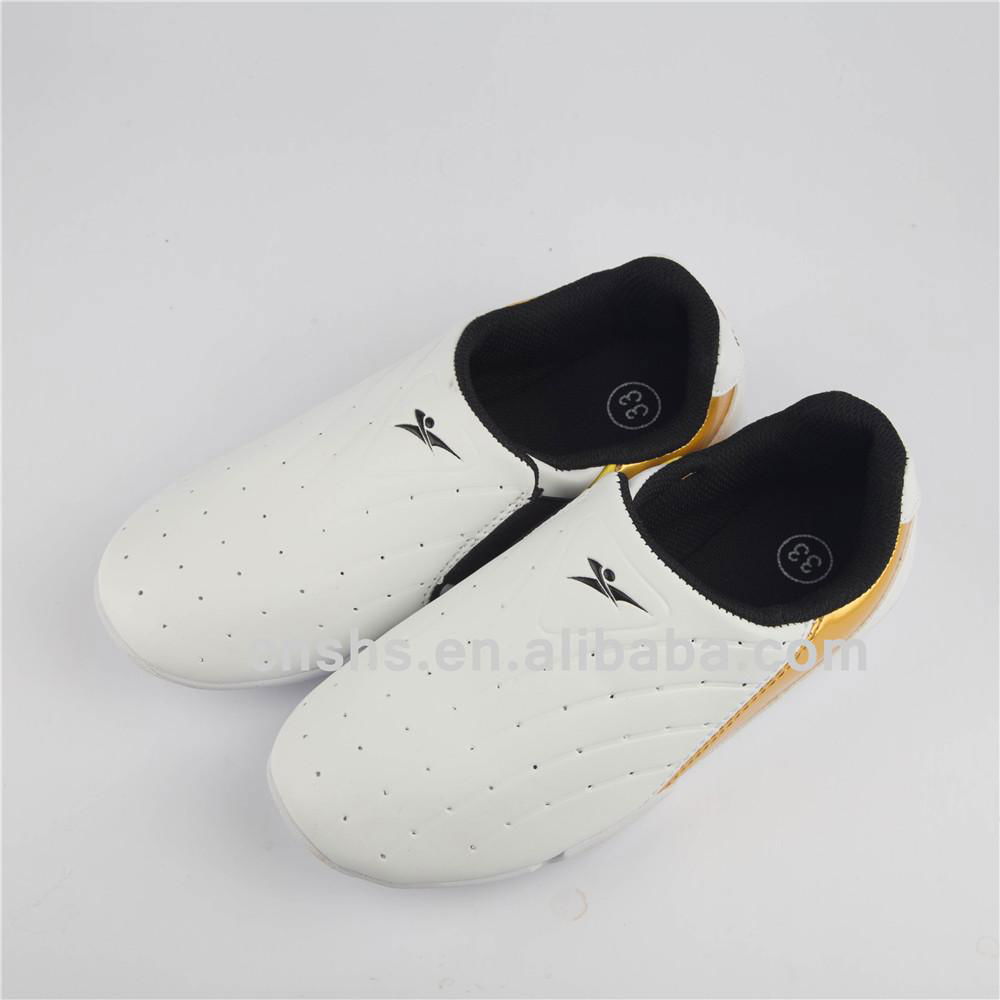 martial art taekwondo shoes for master and trainer 2