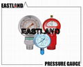 F1600 mud pump Pressure Gauges