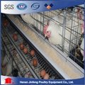 自动化养鸡设备3-5层鸡笼蛋鸡笼肉鸡笼种鸡笼鹌鹑笼