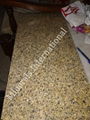 Golden Tiger Granite