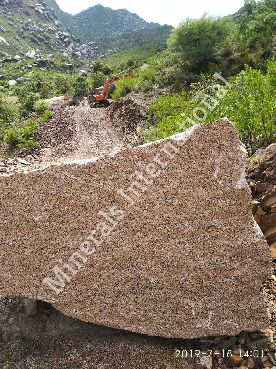 Golden Tiger Granite 2