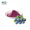 Cultivated Blueberry Juice Powder