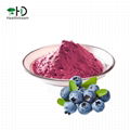 Wild Blueberry Juice Powder