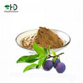 Prune Juice Powder 1