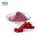 Dark Sweet Cherry Juice Powder