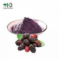 Mulberry Juice Powder