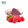 Red Raspberry Juice Powder