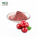 Wild Lingonberry Juice Powder 1