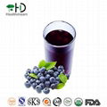 Cultivated Blueberry Juice Concentrate