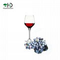 Wild Grape Juice Concentrate 1